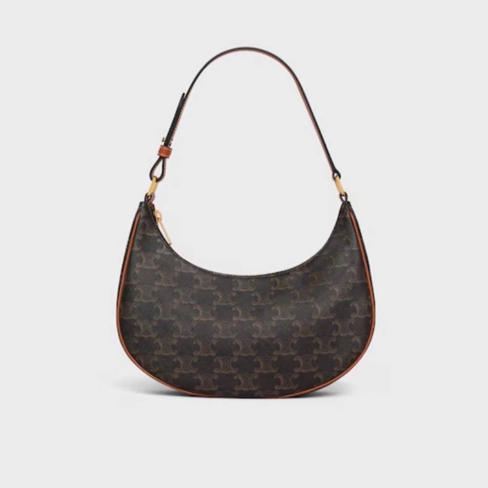 CELINE Ava Bag in Triomphe Canvas and Calfskin